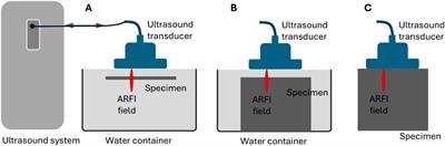 A pilot study of cardiac guided wave elastography: an ex vivo testing in a rodent model with mechanical testing validation